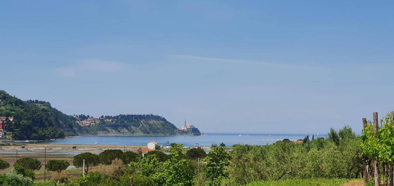 Apartma Nana Strunjan Portorož Dış mekan fotoğraf